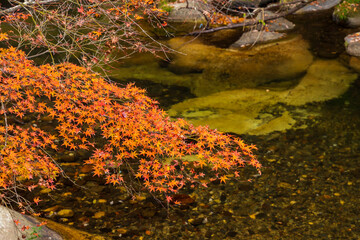 日本の風景・秋　山梨県甲府市　紅葉の昇仙峡  © Yuta1127