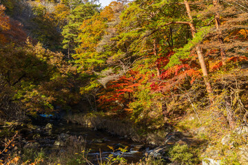 日本の風景・秋　山梨県甲府市　紅葉の昇仙峡  © Yuta1127