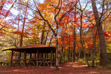 日本の風景・秋　山梨県甲府市　紅葉の昇仙峡　天鼓林  © Yuta1127