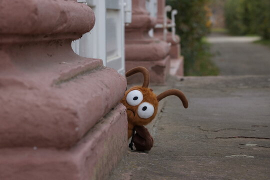 harmlose Bernstein Waldschabe - pl&uuml;schschabe