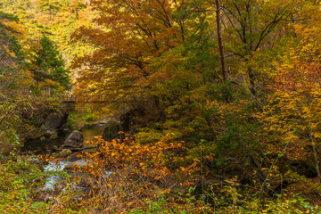 日本の風景・秋　山梨県甲府市　紅葉の昇仙峡  © Yuta1127