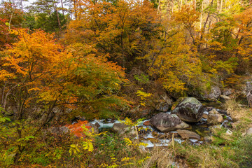 日本の風景・秋　山梨県甲府市　紅葉の昇仙峡  © Yuta1127
