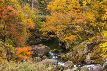 日本の風景・秋　山梨県甲府市　紅葉の昇仙峡  © Yuta1127