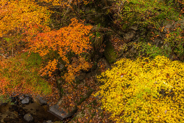 日本の風景・秋　山梨県甲府市　紅葉の昇仙峡  © Yuta1127