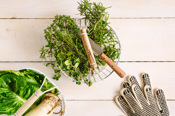Frische Kr&auml;uter und Gem&uuml;se in K&ouml;rben auf einem wei&szlig;en Holz Tisch. Draufsicht, gesunde Ern&auml;hrung, Fr&uuml;hling.