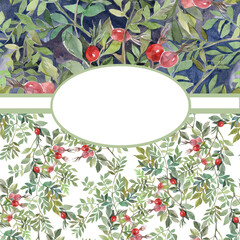 herbs background with rosehip berries and branches, food, tea, pharmacy,