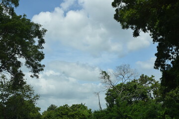 Vast Open Sky Above the Highway Stretching Into the Distance, Creating a Sense of Freedom, Travel, and Endless Journey. Endless Highway Beneath a Wide Open Sky, Capturing Motion, Travel, 