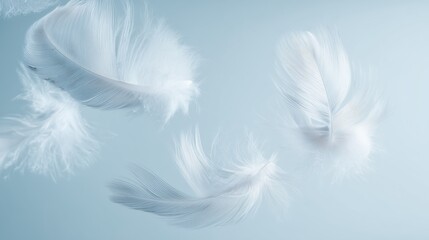 Fototapeta premium Soft White Feathers on Blue Background – Lightness, Comfort, and Gentle Texture Concept