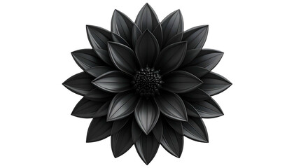 A detailed, isolated black flower with many petals, centered on a black background (1)