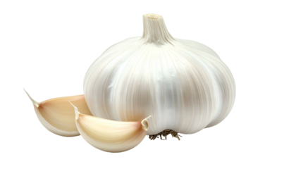 Bulb of garlic with two cloves on a transparent background