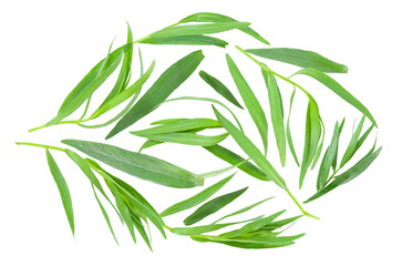 a circular arrangement of fresh tarragon herb leaves, showcasing their long, slender green blades with delicate texture, isolated on a transparent background.