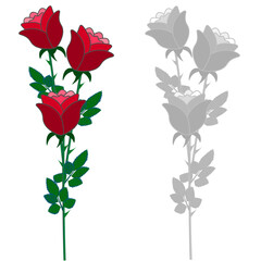 set of red roses isolated