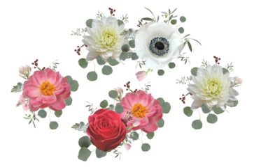 elegant floral arrangements featuring dahlias, anemones, and roses in pink, white, and red, artistically composed with eucalyptus leaves on a transparent background.