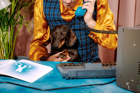 Man teleworking in vibrant retro office with dachshund puppy and telephone