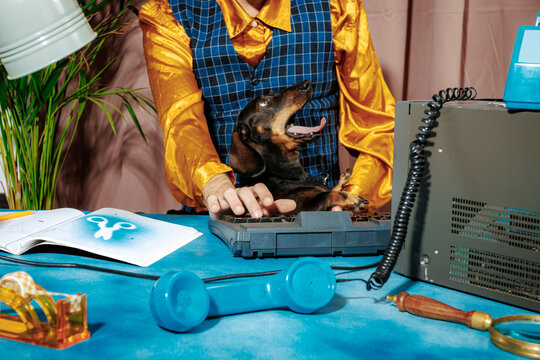 Man with dachshund at quirky creative desk in colorful retro office