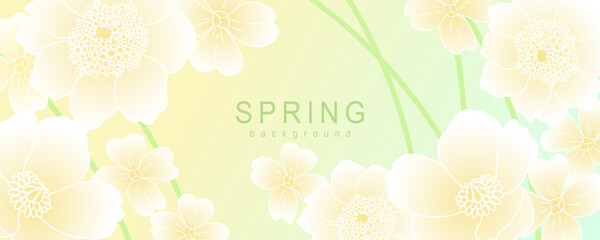 Spring floral background. Сard cover template with abstract flowers. Art design for social media, banner, card, ads