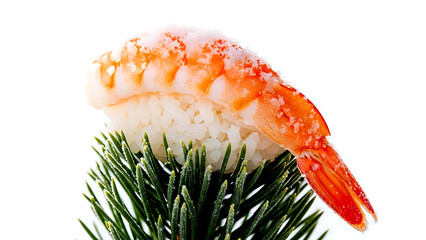Frosted luxury a single piece of botan ebi (sweet shrimp) nigiri lightly dusted with crystalline snow sugar, resting on a frosted pine needle, against a pure white background 
