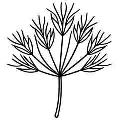 Dill line art vector