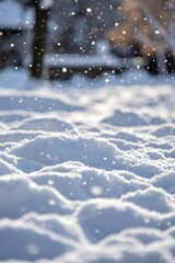 Fototapeta premium snow covered trees