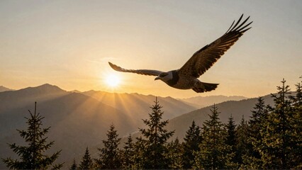 Eagle soaring at sunset over mountain forest
