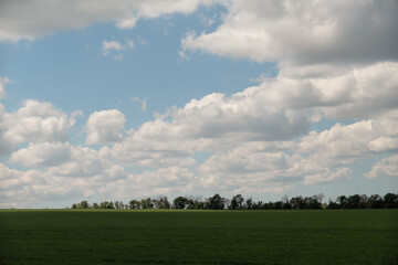 Field clouds sky over vast green agricultural land with a distant treeline and copy space