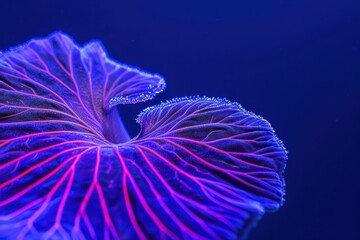 Close-up of mushroom gills glowing in blue and purple light, AI-generated.