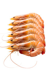 [Generative AI] 정렬된 신선한 대하 새우