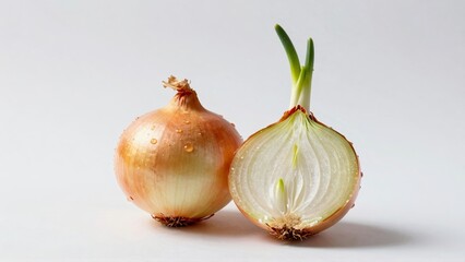 Whole and halved onion with water droplets and sprouts