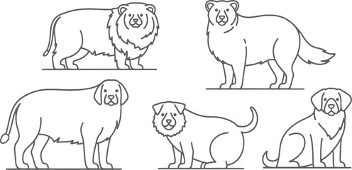 Different poses of dog in simple line drawing