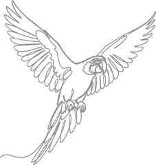 Obraz premium Bird in flight with outstretched wings