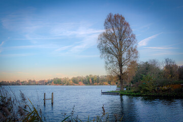 autumn landscape with lake