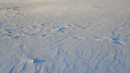 Snowy Desert Sand Patterns. Smooth snow covers the ground, sculpted into intricate patterns by the wind. The light highlights subtle ridges resembling a vast desert landscape.