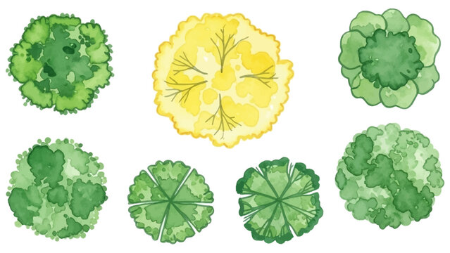 Watercolor tree icon set, yellow hand drawn bush top view, vector green architecture map design kit. Garden park abstract sign, nature environment plan landscape layout object. Flat tree top crown art