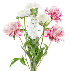 mixed bouquet of fresh white roses, pink peonies, and white stock flowers, elegantly arranged for events and decorations