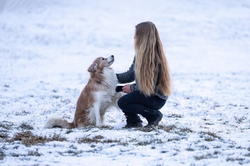 Young woman sitting beside a border collie in a snowy landscape, expressing companionship, trust, calmness and affection