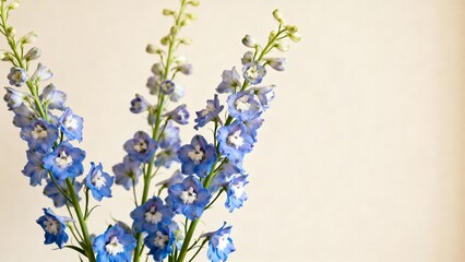 Elegant delphinium bouquet with calm luxury mood floral trend 2026 perennial hope symbol purple blue flower tall modern floral arrangement soft hues minimalist soothing tones decorative pastel floral 