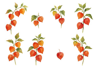 Watercolor-style Hozuki illustration／鬼灯