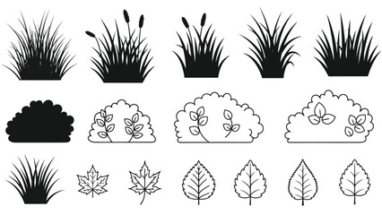 Collection of black and white botanical illustrations featuring grasses shrubs and leaves