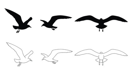 Silhouettes of soaring birds and outlines depicting avian flight patterns