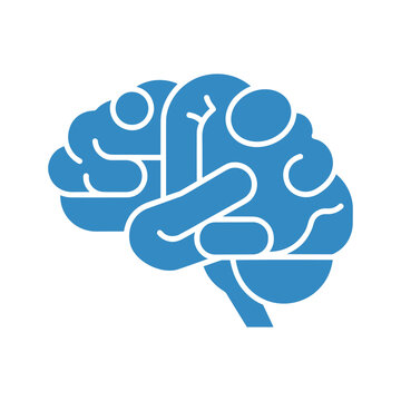 Brain Illustration Vector