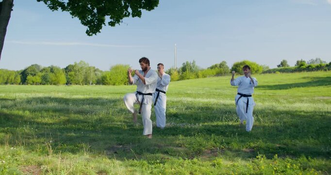 Three karate practitioners practice strikes used in combat. Three young karatekas train on the grass.