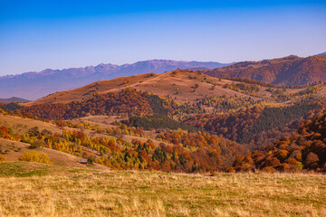 a scenic autumn landscape in the Carpathian Mountains of Romania, The hillsides are covered in dense forests displaying vibrant fall colors, including shades of orange, yellow, and red