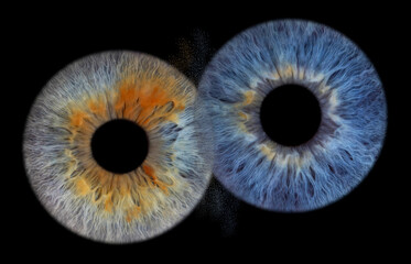 augen irisfotos iriden zwei paar freundschaft fusion zusammen heiraten