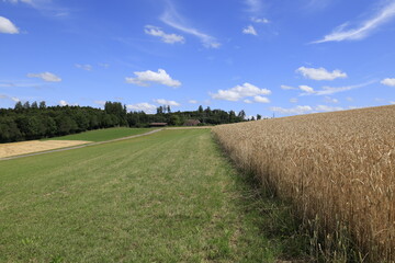 bauernhof kornfeld sommer wiese landschaft