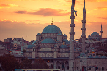 Sunset in Istanbul. New Valide Sultan Mosque on the shore of the Golden Horn. Seagulls flying.