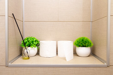 Toilet accessories placed in a wall niche. Minimalist modern toilet interior design.
