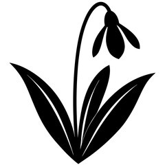 Silhouette of a flower on a white background.