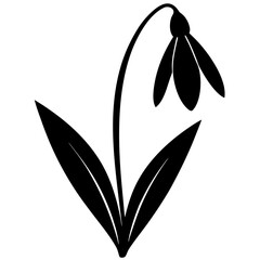 Silhouette of a flower on a white background.