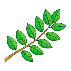 green leaves isolated on white