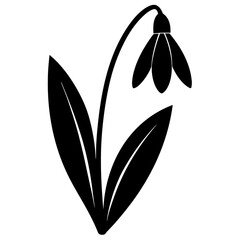 Silhouette of a flower on a white background.